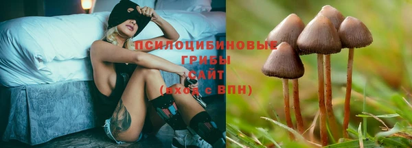 героин Алексин