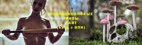 а пвп мука Алексеевка