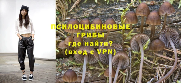 а пвп мука Алзамай