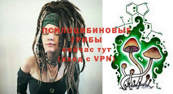 а пвп мука Алзамай
