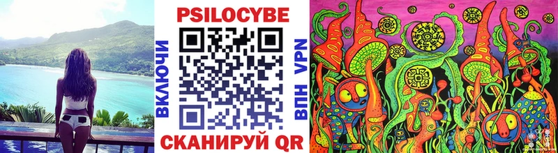 Галлюциногенные грибы Psilocybe  магазин  наркотиков  Славск 